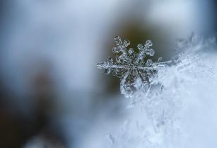 Winter in the Eklo hotels
